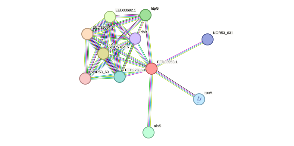 STRING protein interaction network