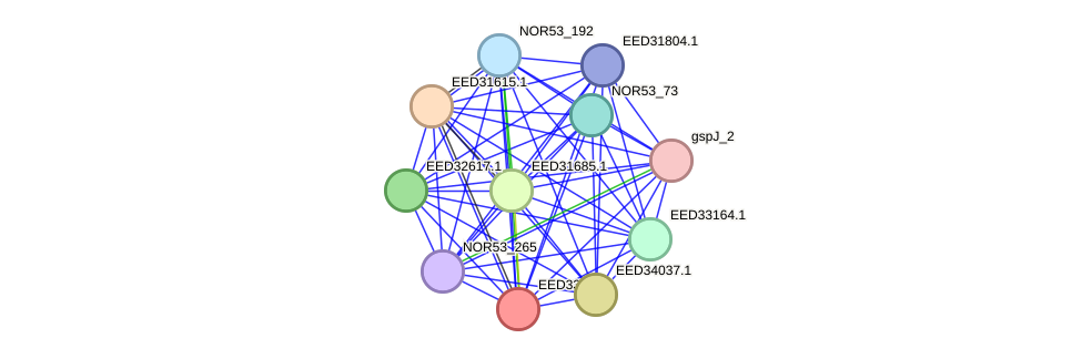 STRING protein interaction network