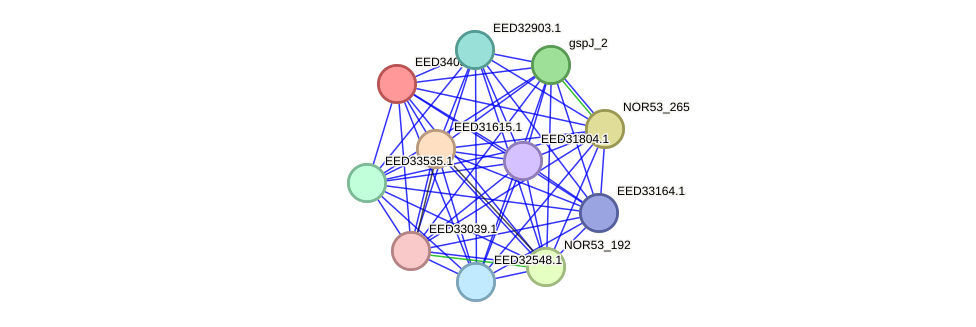 STRING protein interaction network