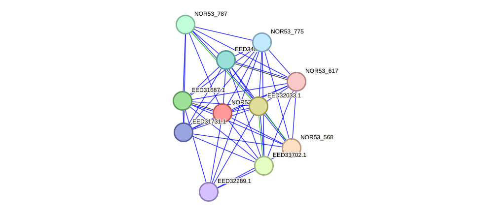 STRING protein interaction network