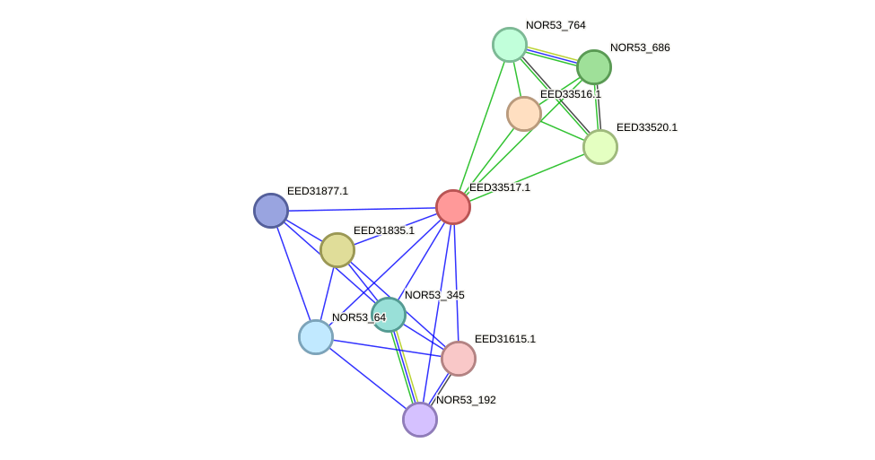 STRING protein interaction network