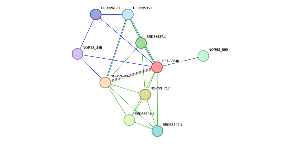 STRING protein interaction network