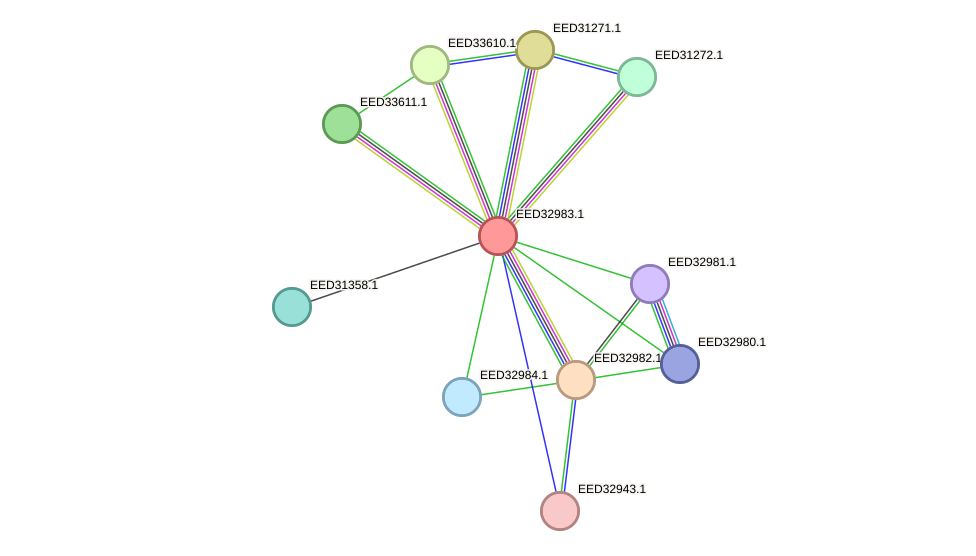 STRING protein interaction network