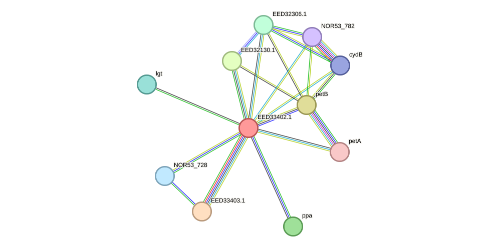 STRING protein interaction network
