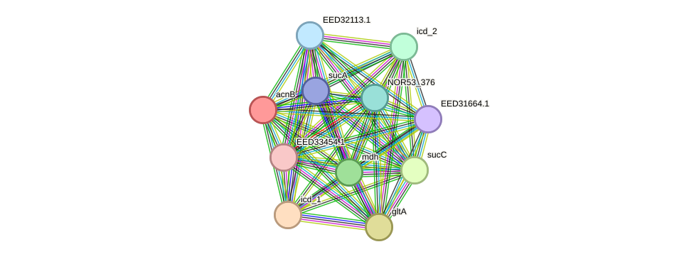 STRING protein interaction network
