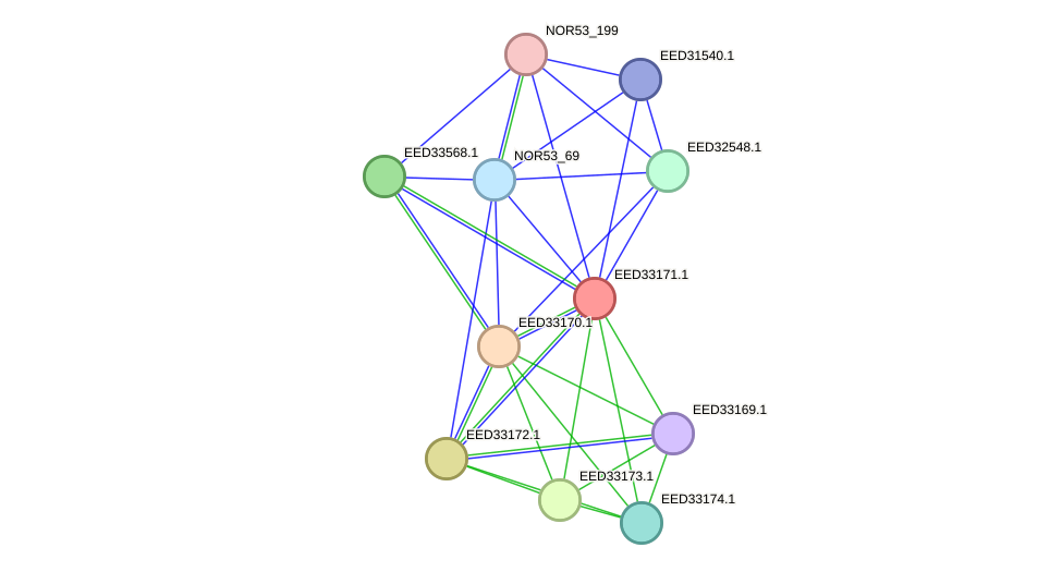 STRING protein interaction network