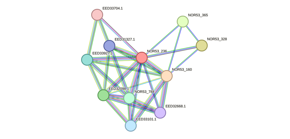 STRING protein interaction network