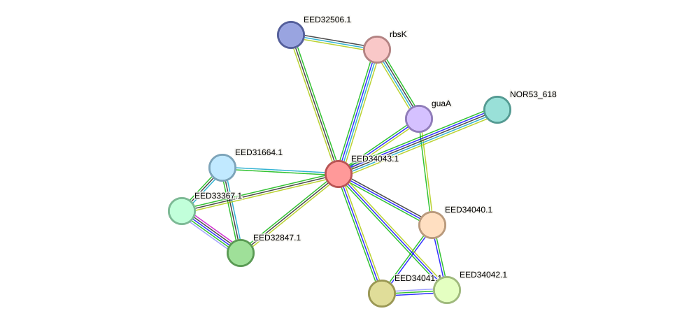 STRING protein interaction network