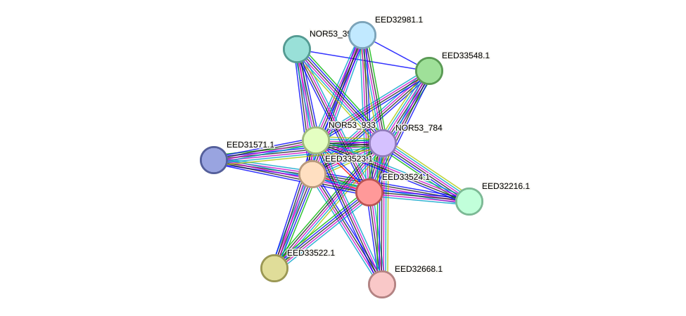 STRING protein interaction network