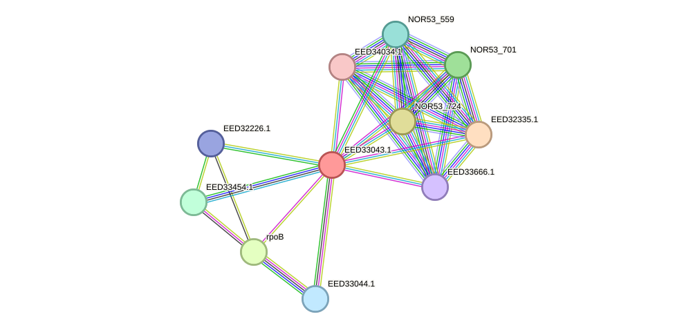 STRING protein interaction network
