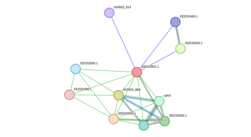 STRING protein interaction network