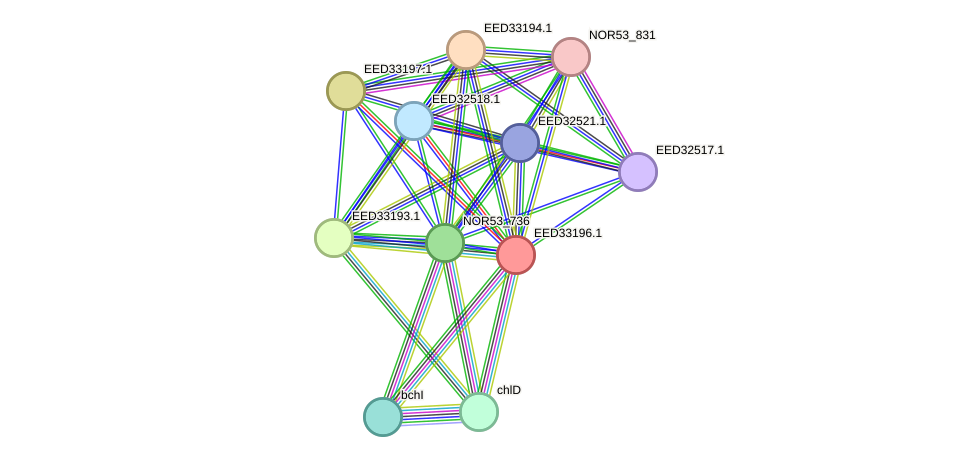 STRING protein interaction network