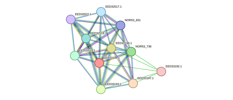 STRING protein interaction network