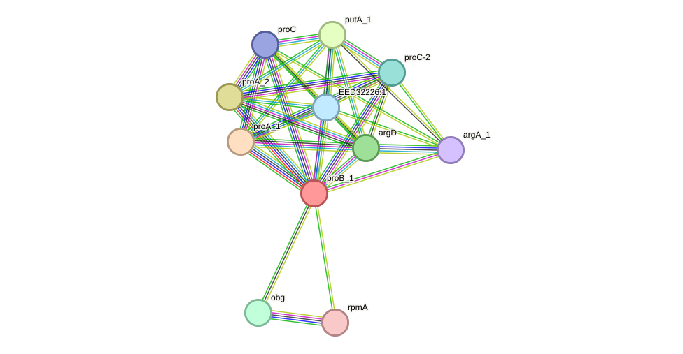 STRING protein interaction network
