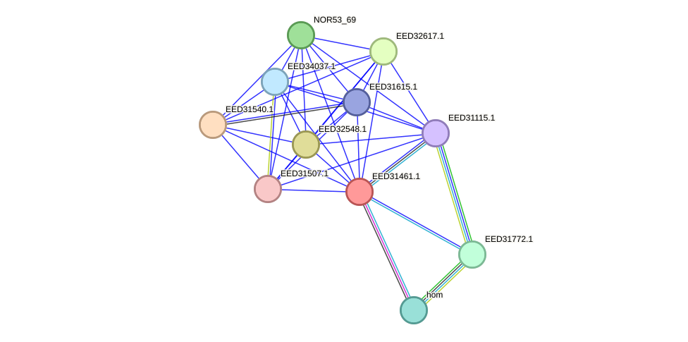 STRING protein interaction network