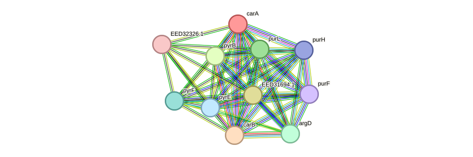STRING protein interaction network