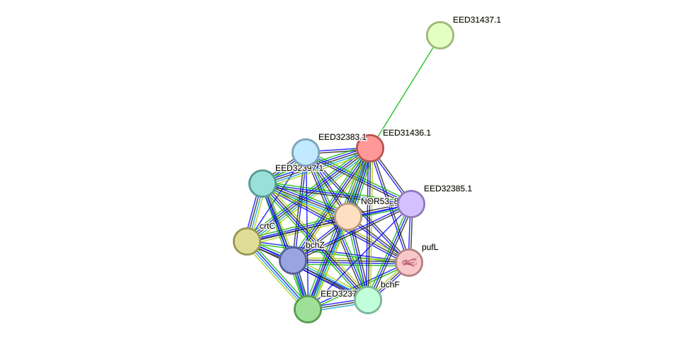 STRING protein interaction network