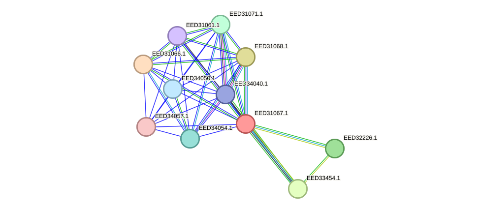 STRING protein interaction network