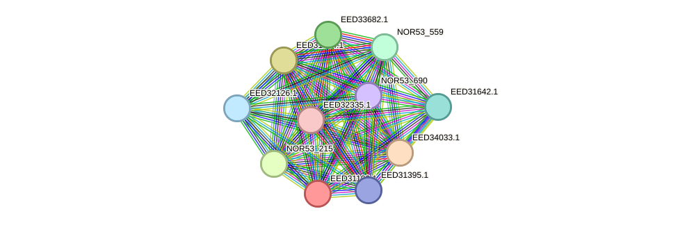 STRING protein interaction network