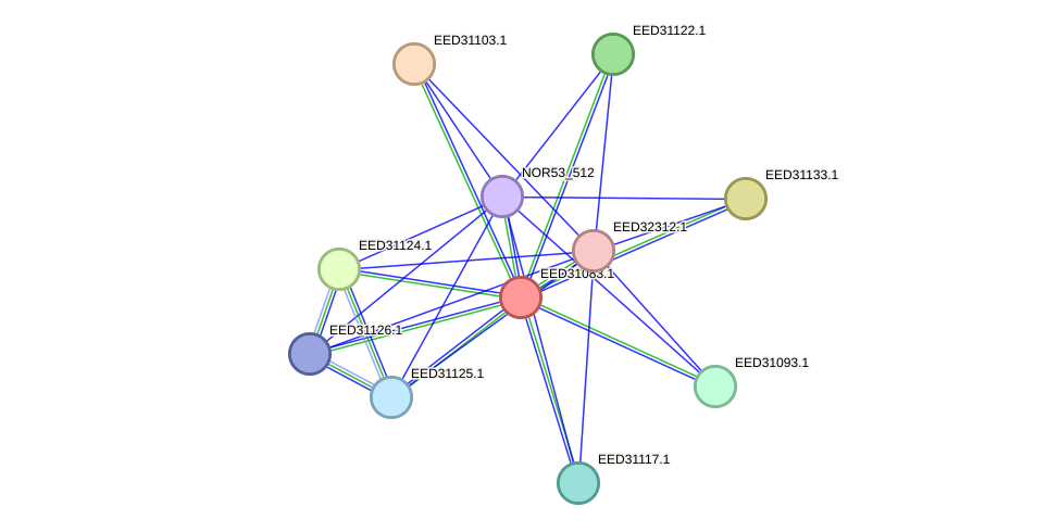 STRING protein interaction network