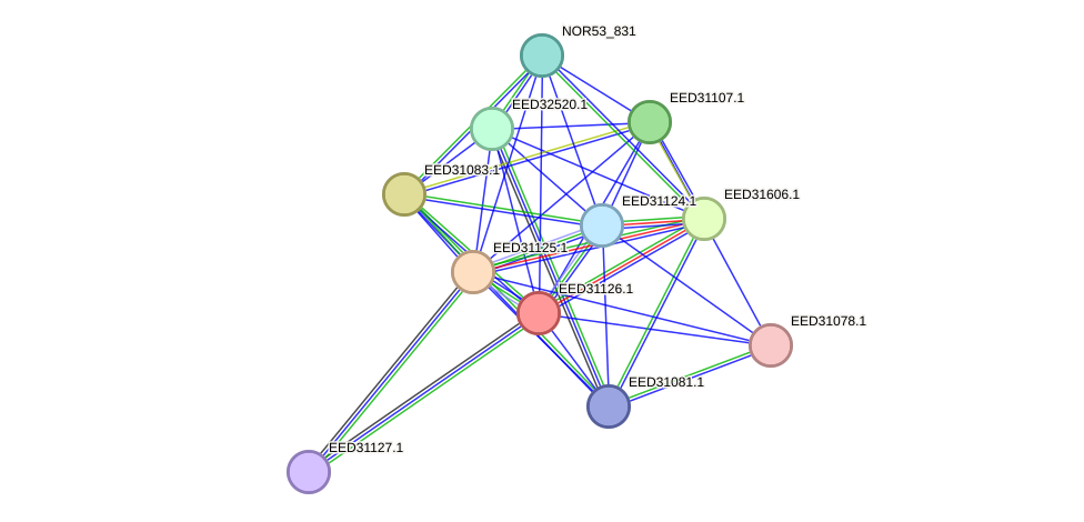 STRING protein interaction network