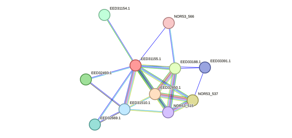 STRING protein interaction network