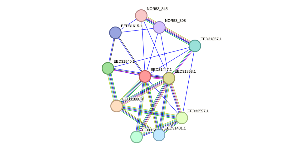 STRING protein interaction network