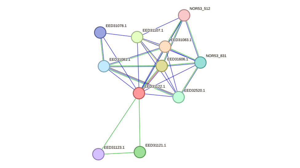 STRING protein interaction network