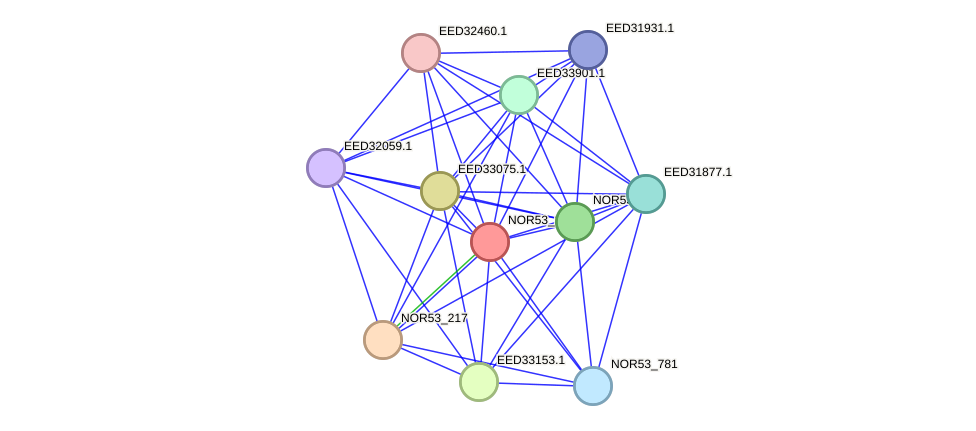 STRING protein interaction network