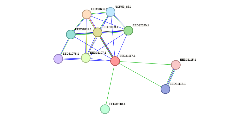 STRING protein interaction network
