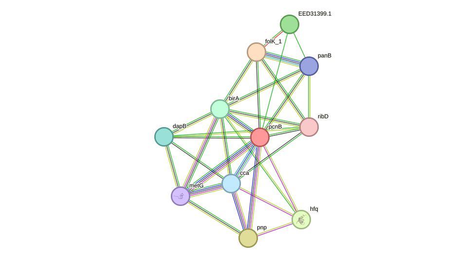 STRING protein interaction network