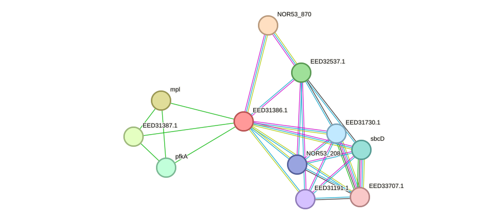 STRING protein interaction network