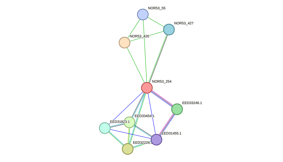 STRING protein interaction network