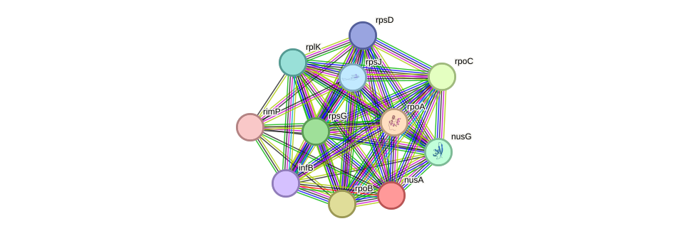 STRING protein interaction network