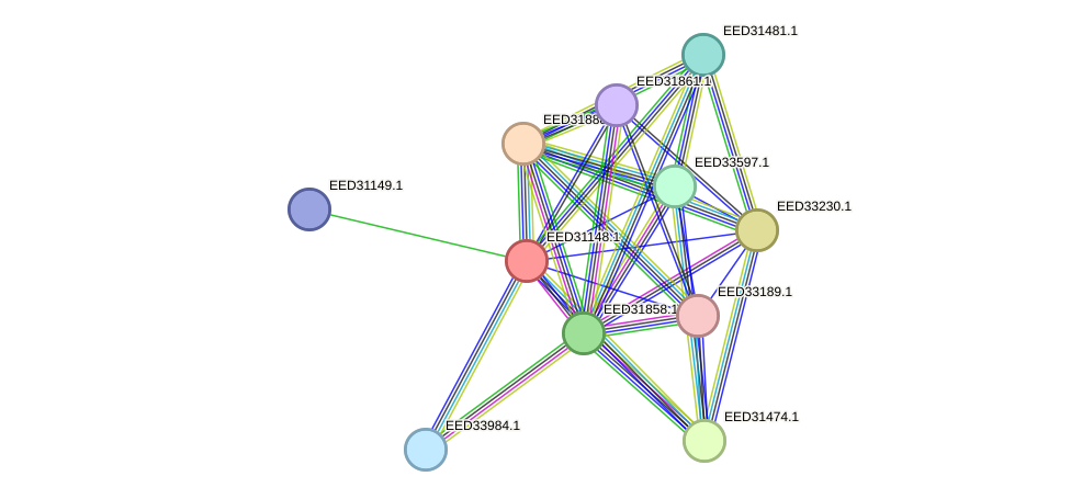 STRING protein interaction network