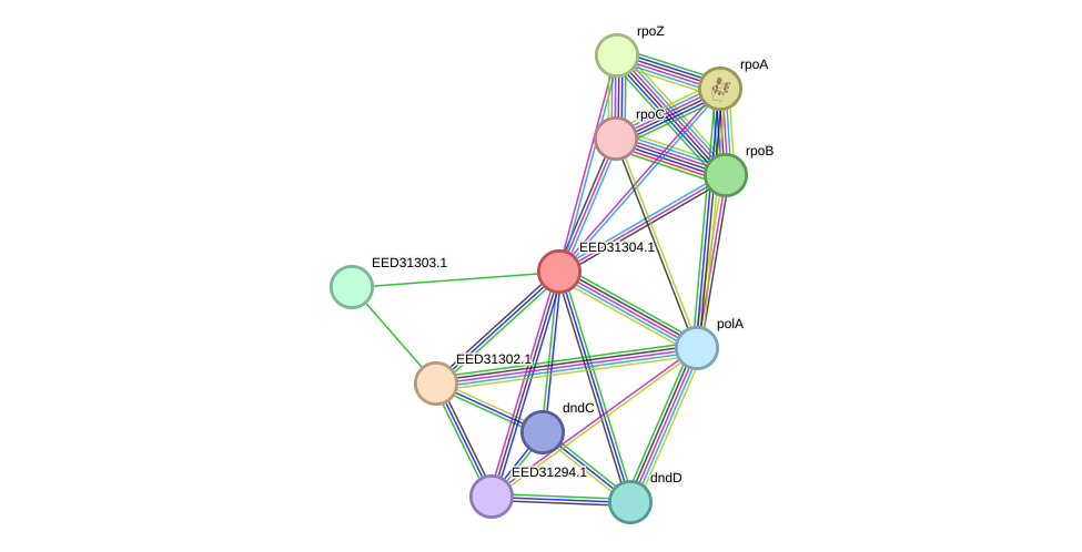 STRING protein interaction network