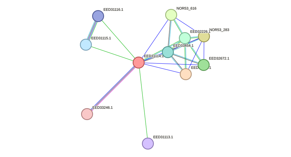 STRING protein interaction network