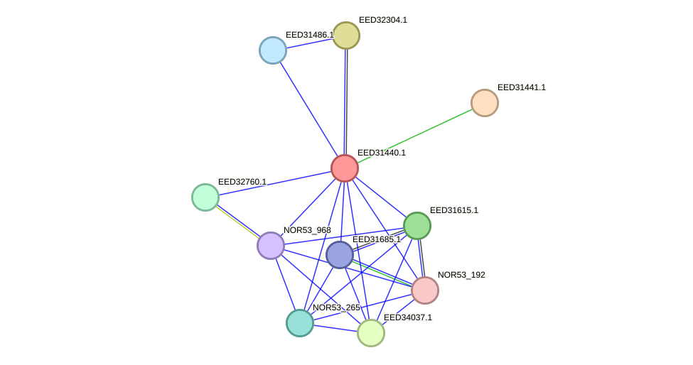 STRING protein interaction network