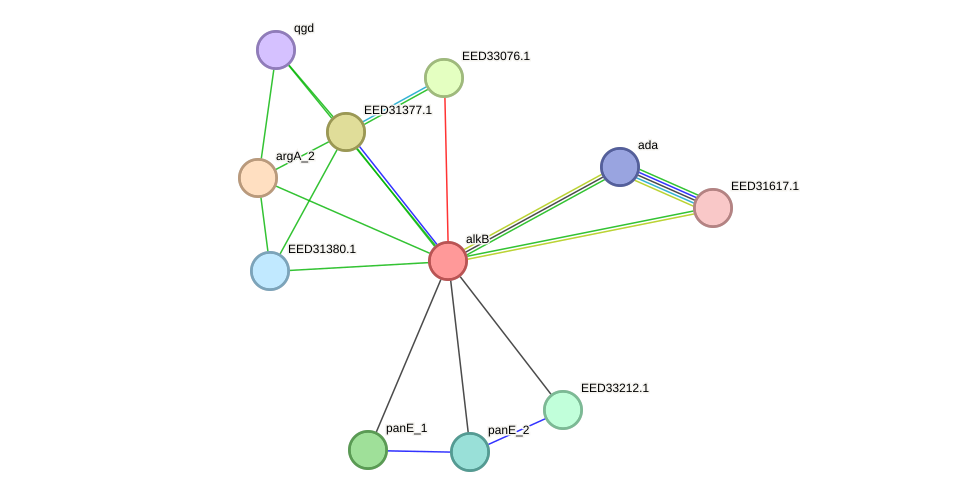 STRING protein interaction network