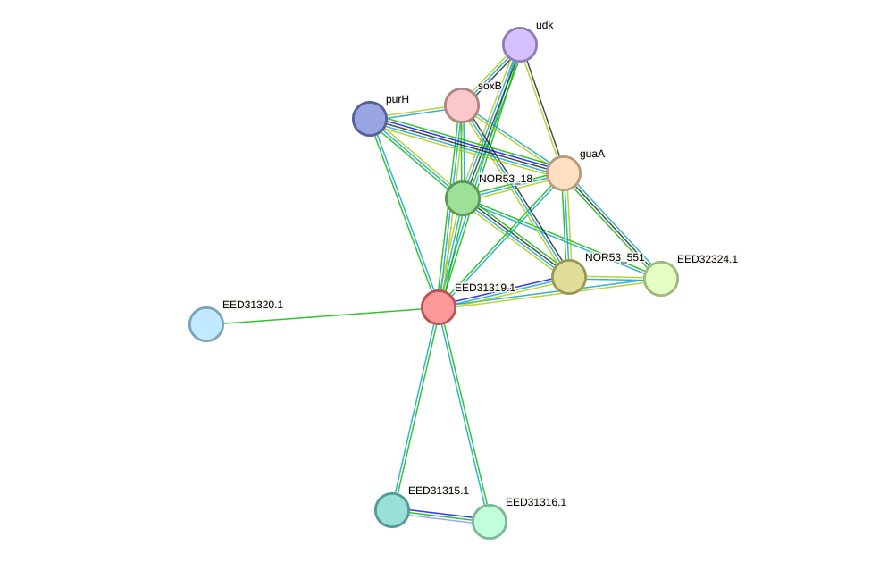 STRING protein interaction network