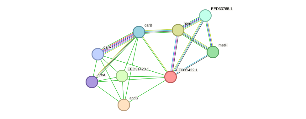 STRING protein interaction network