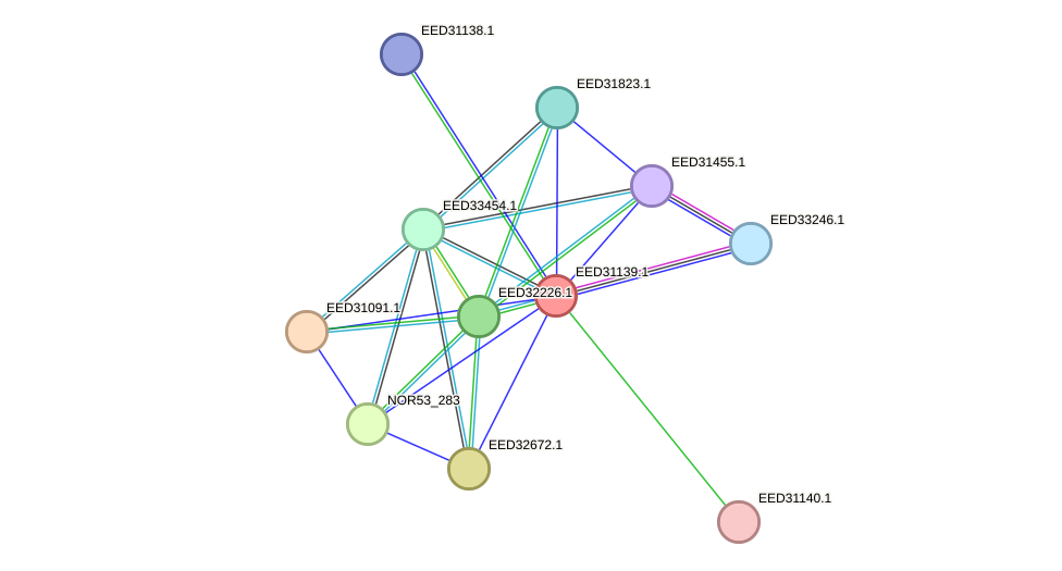 STRING protein interaction network