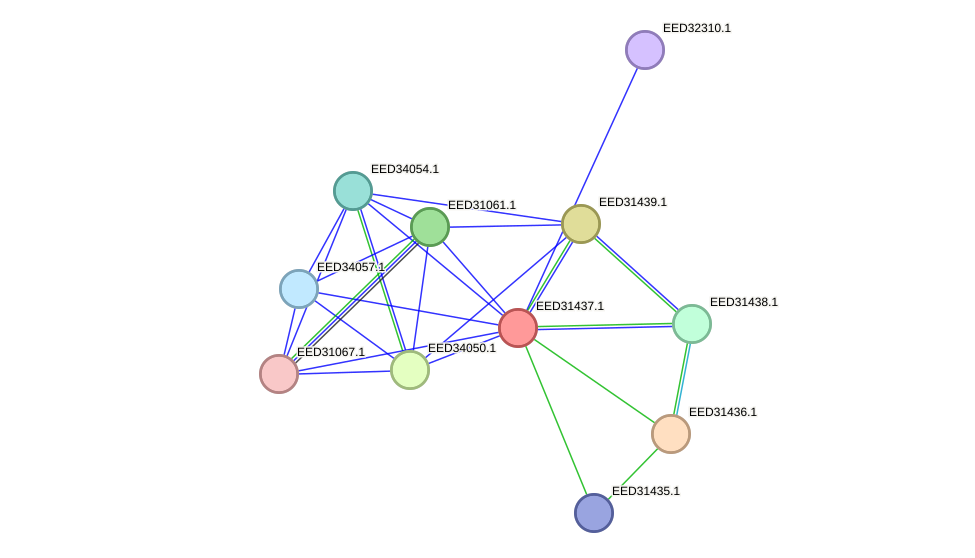 STRING protein interaction network