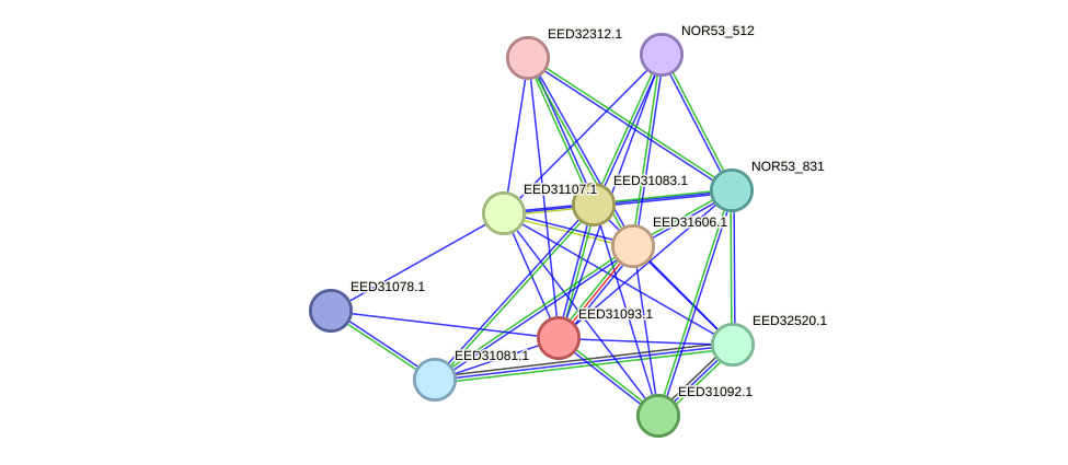 STRING protein interaction network