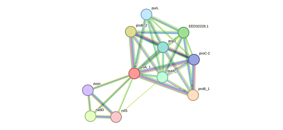 STRING protein interaction network