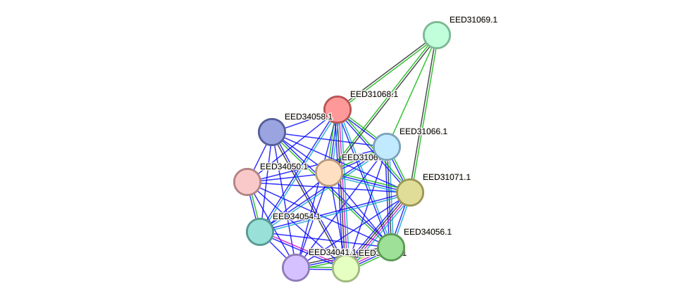 STRING protein interaction network