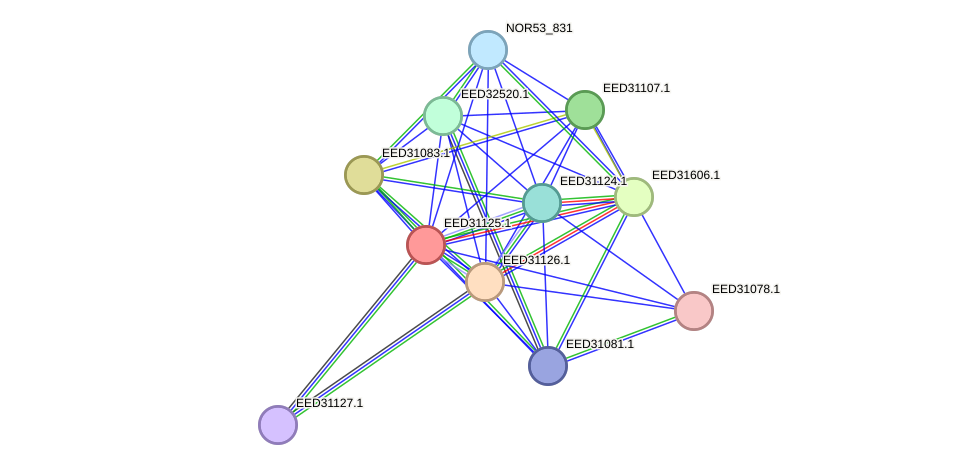 STRING protein interaction network