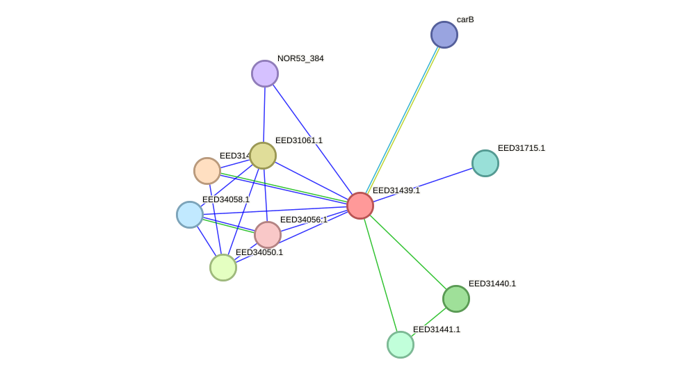 STRING protein interaction network