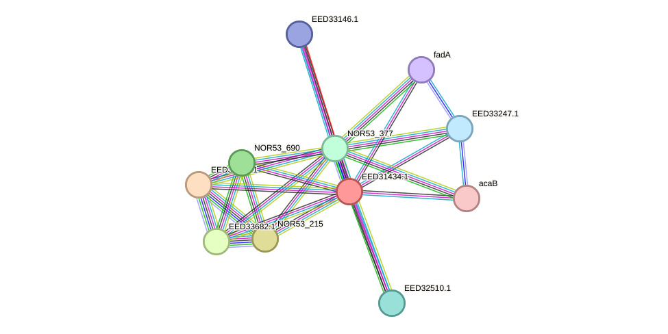 STRING protein interaction network