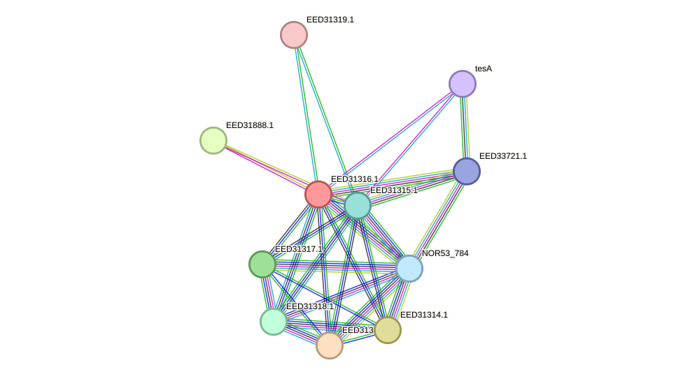 STRING protein interaction network